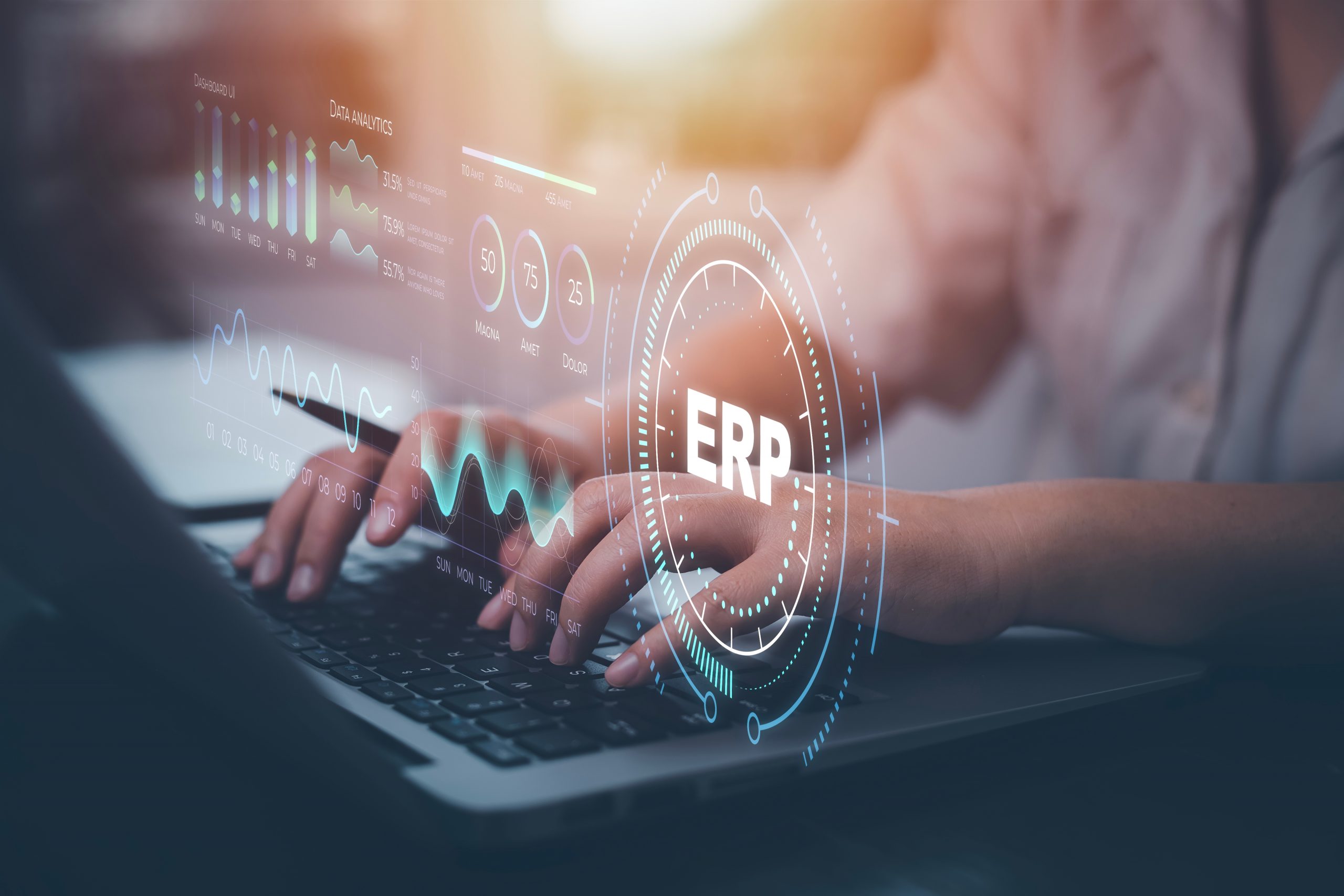 SAP ERP ERP Systeme, ERP Lösungen, SAP ERP